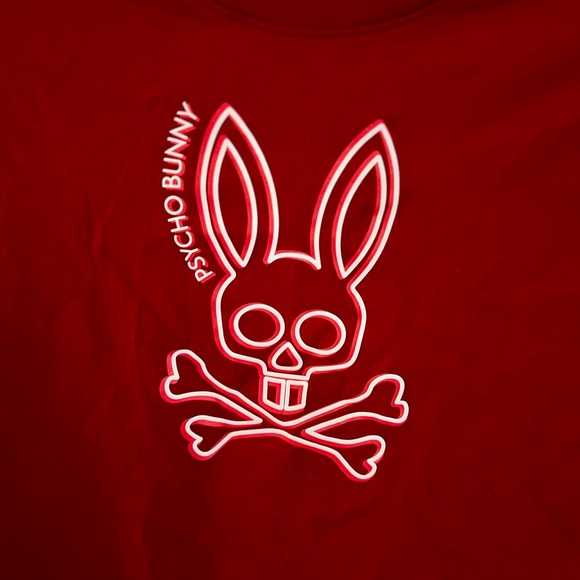 PSYCHO BUNNY Kids Red T-shirt, size M - Picture 3 of 7